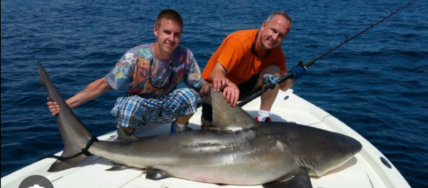 40’ Yacht Sport Fish Shark Hunt In Clearwater