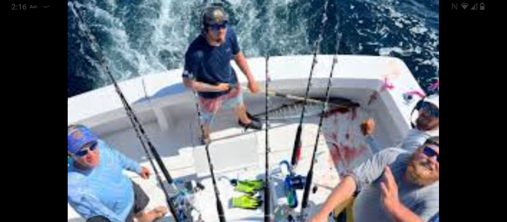 40’ Yacht Sport Fish Shark Hunt In Clearwater