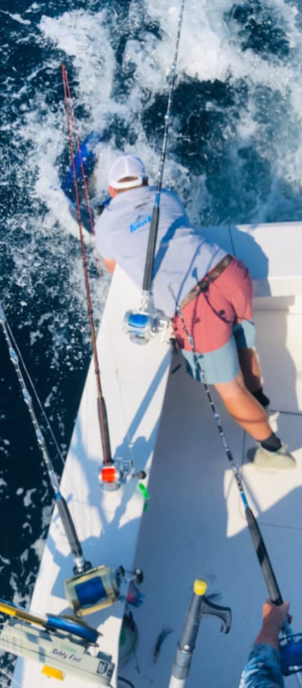 40’ Yacht Sport Fish Shark Hunt In Clearwater