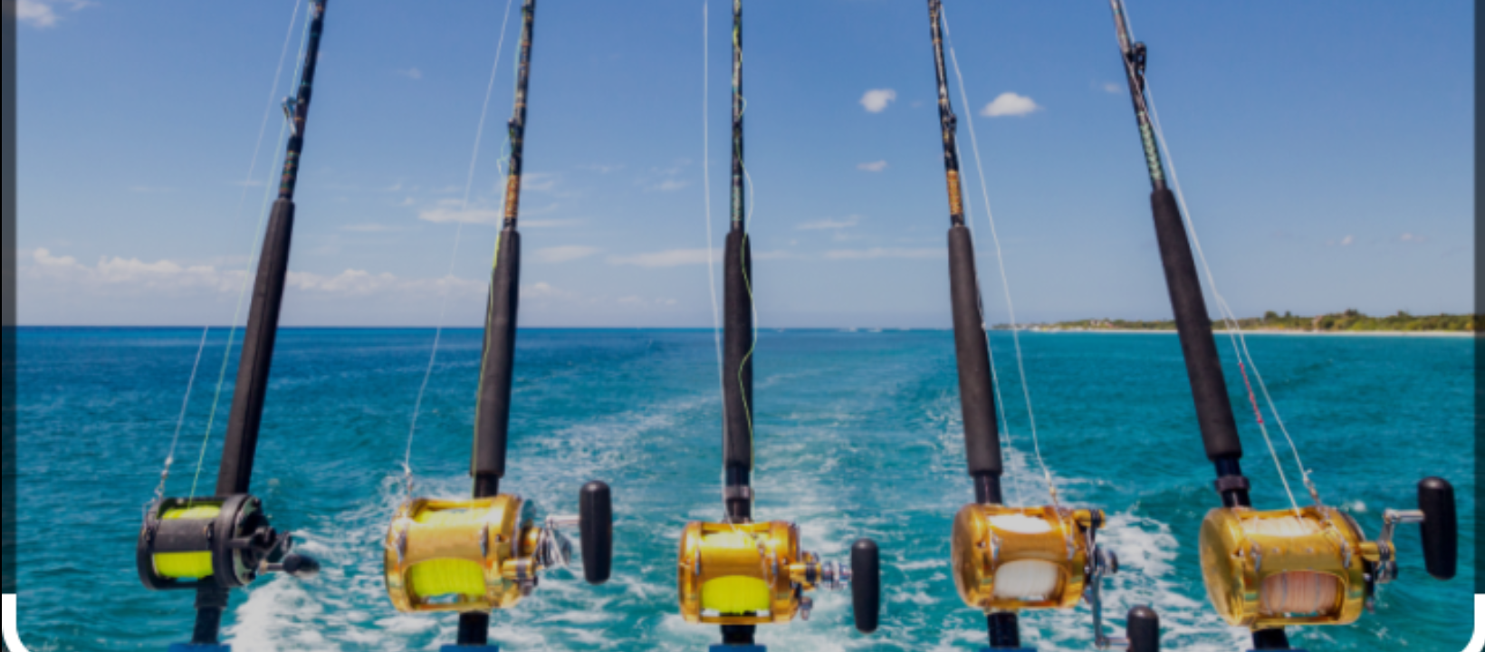 40’ Yacht Sport Fish Shark Hunt In Clearwater