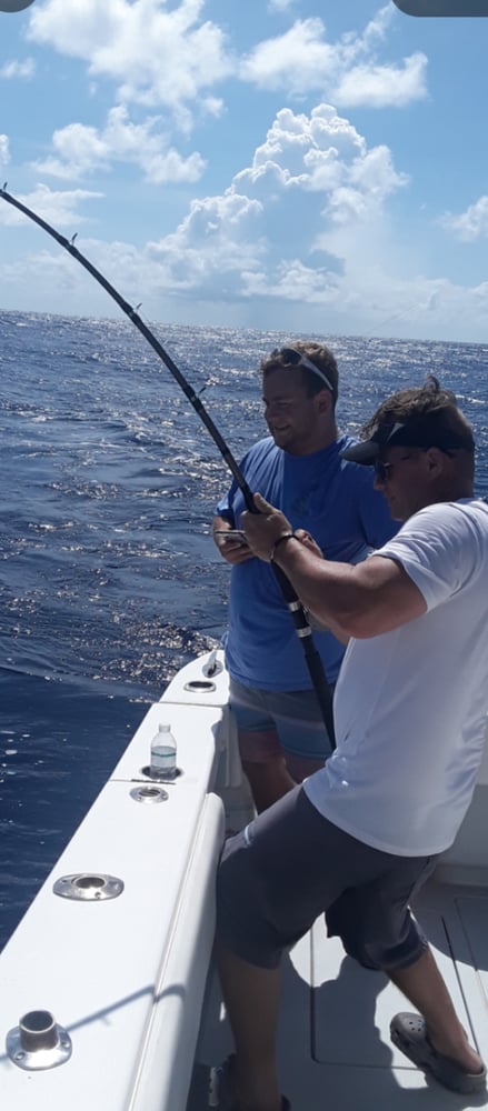 40’ Yacht Sport Fish Shark Hunt In Clearwater