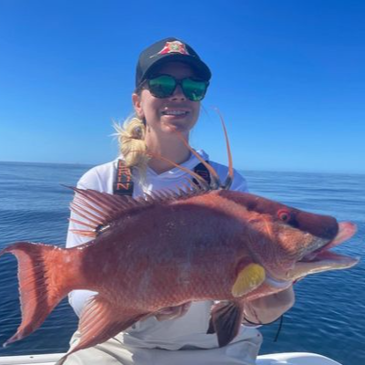 Hogfish Trip - 48’ Sportfish Yacht In Tierra Verde