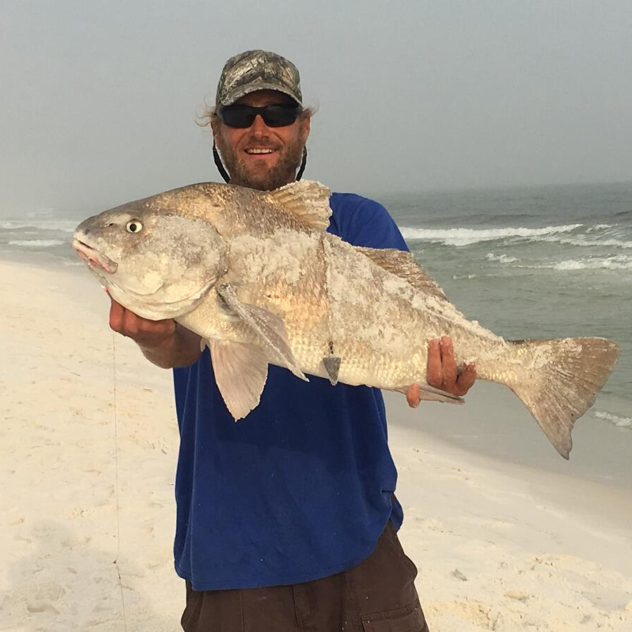 Destin Surf Fishing Trip In Destin