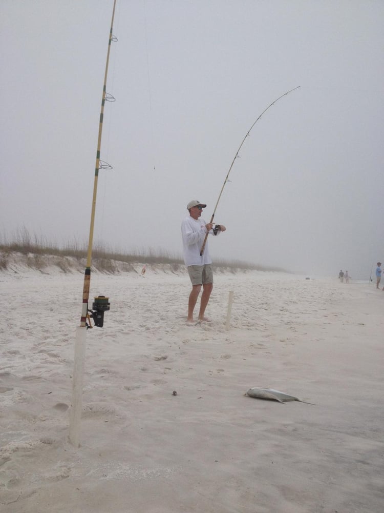 Destin Surf Fishing Trip In Destin