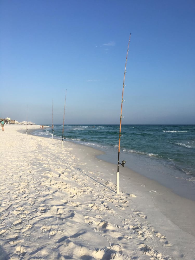 Destin Surf Fishing Trip In Destin