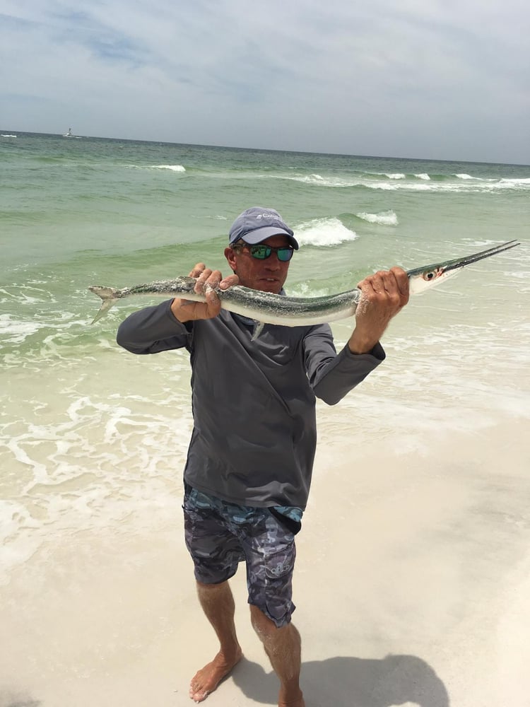 Destin Surf Fishing Trip In Destin