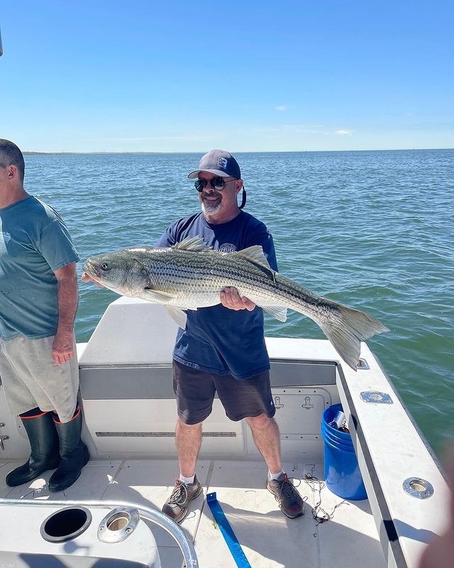 Plymouth Striped Bass Special In Plymouth