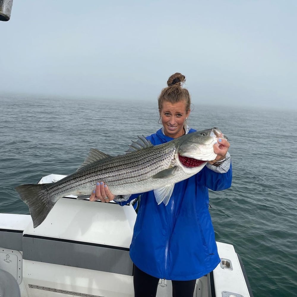 Plymouth Striped Bass Special In Plymouth