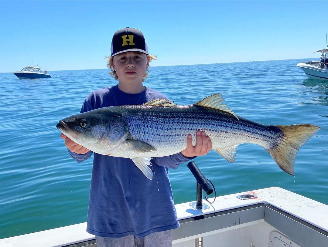 Plymouth Striped Bass Special In Plymouth