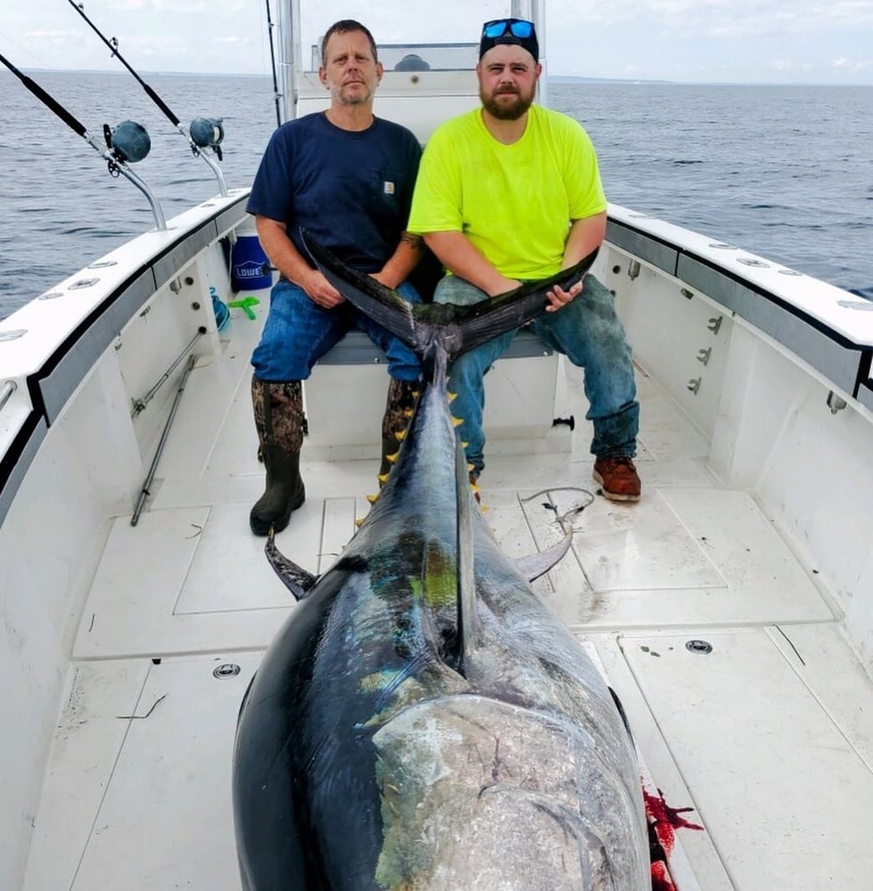 Plymouth Big Tuna Chase In Plymouth