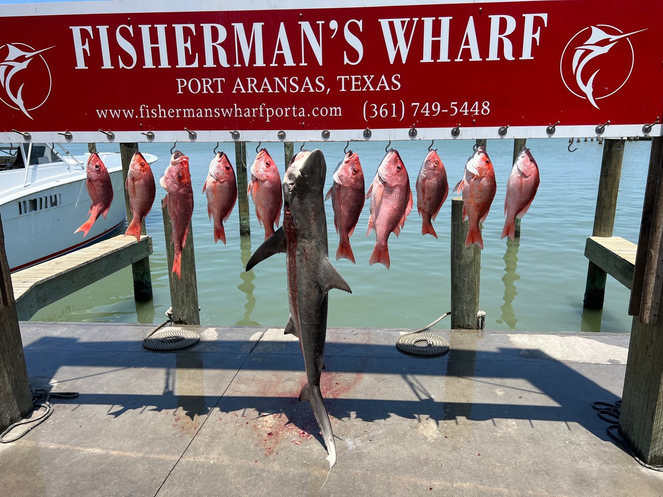 Port A Offshore Super Slam In Port Aransas