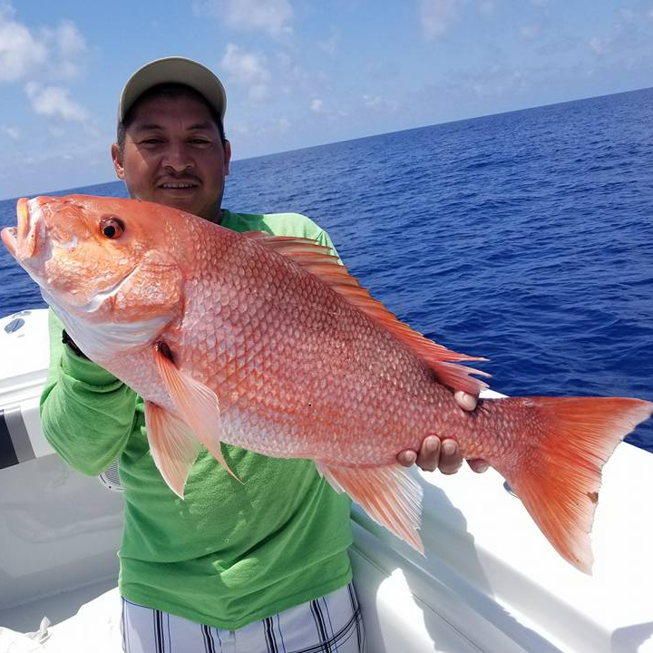 Fed Permitted American Red Snapper In St. Petersburg