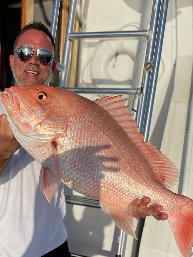 Fed Permitted American Red Snapper In St. Petersburg