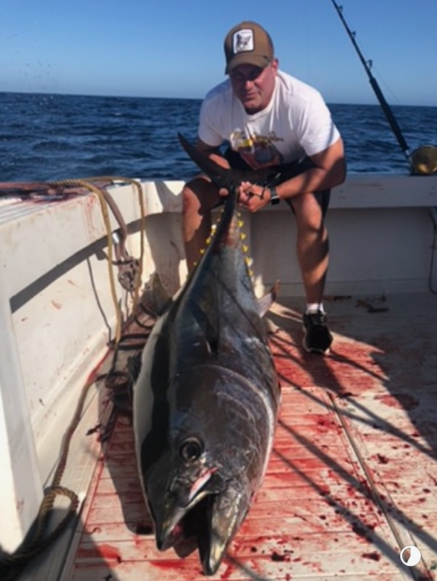 Local Offshore - 42’ Hershine In San Diego