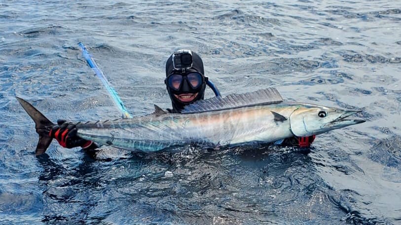 Spearfishing Cabo In Cabo San Lucas