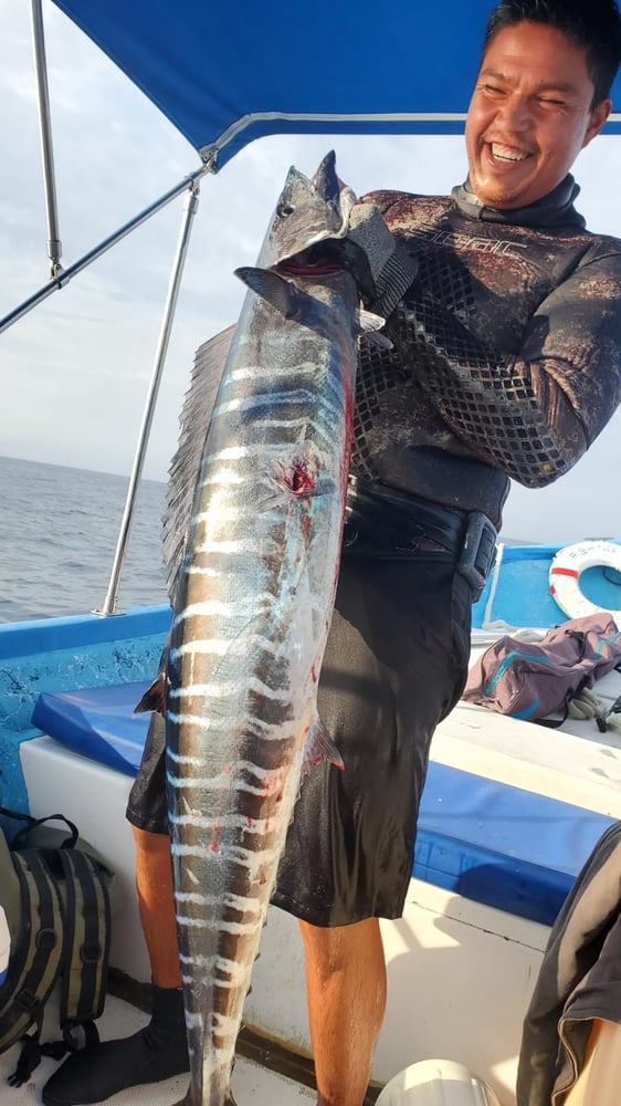 Spearfishing Cabo In Cabo San Lucas