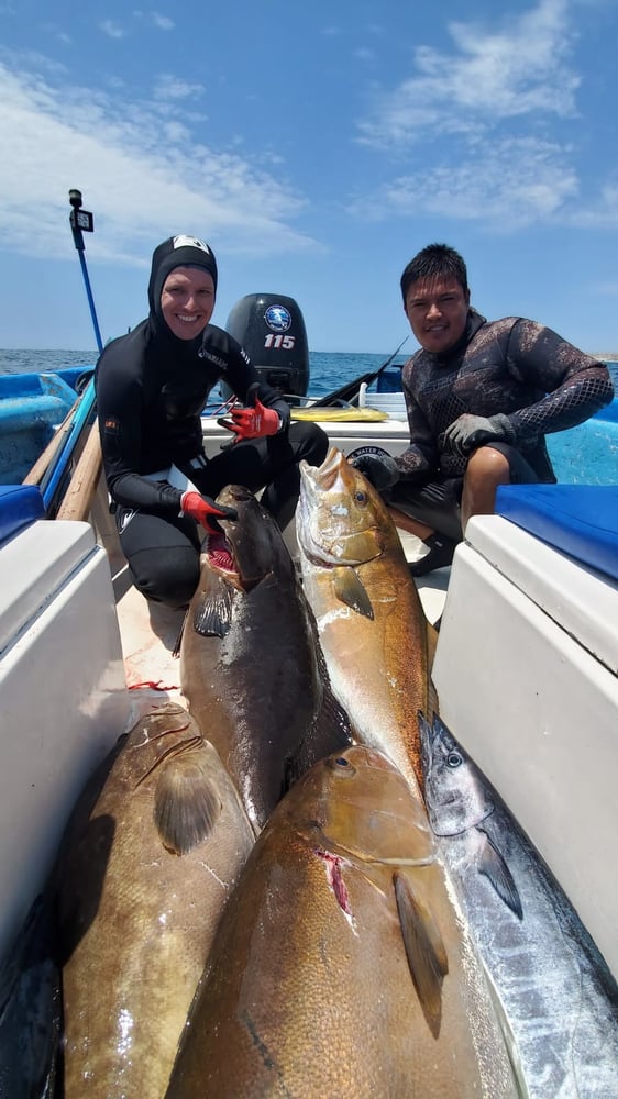 Spearfishing Cabo In Cabo San Lucas