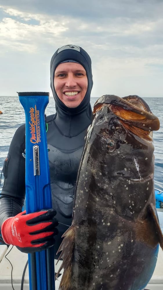 Spearfishing Cabo In Cabo San Lucas