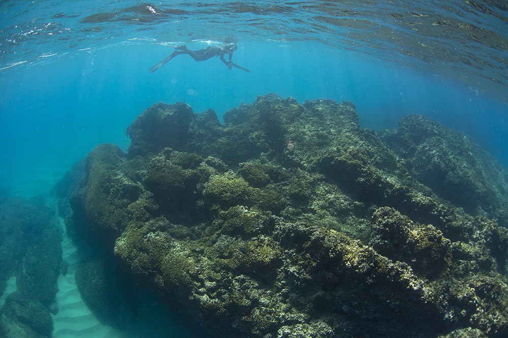 Baja Spearfishing In Cabo San Lucas