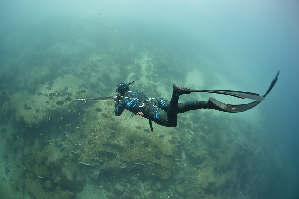 Baja Spearfishing In Cabo San Lucas