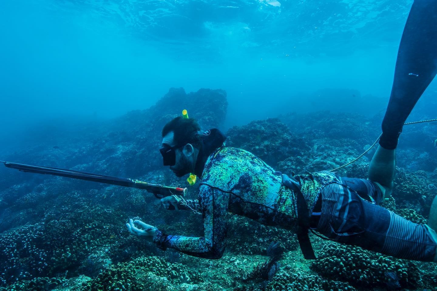 Baja Spearfishing In Cabo San Lucas