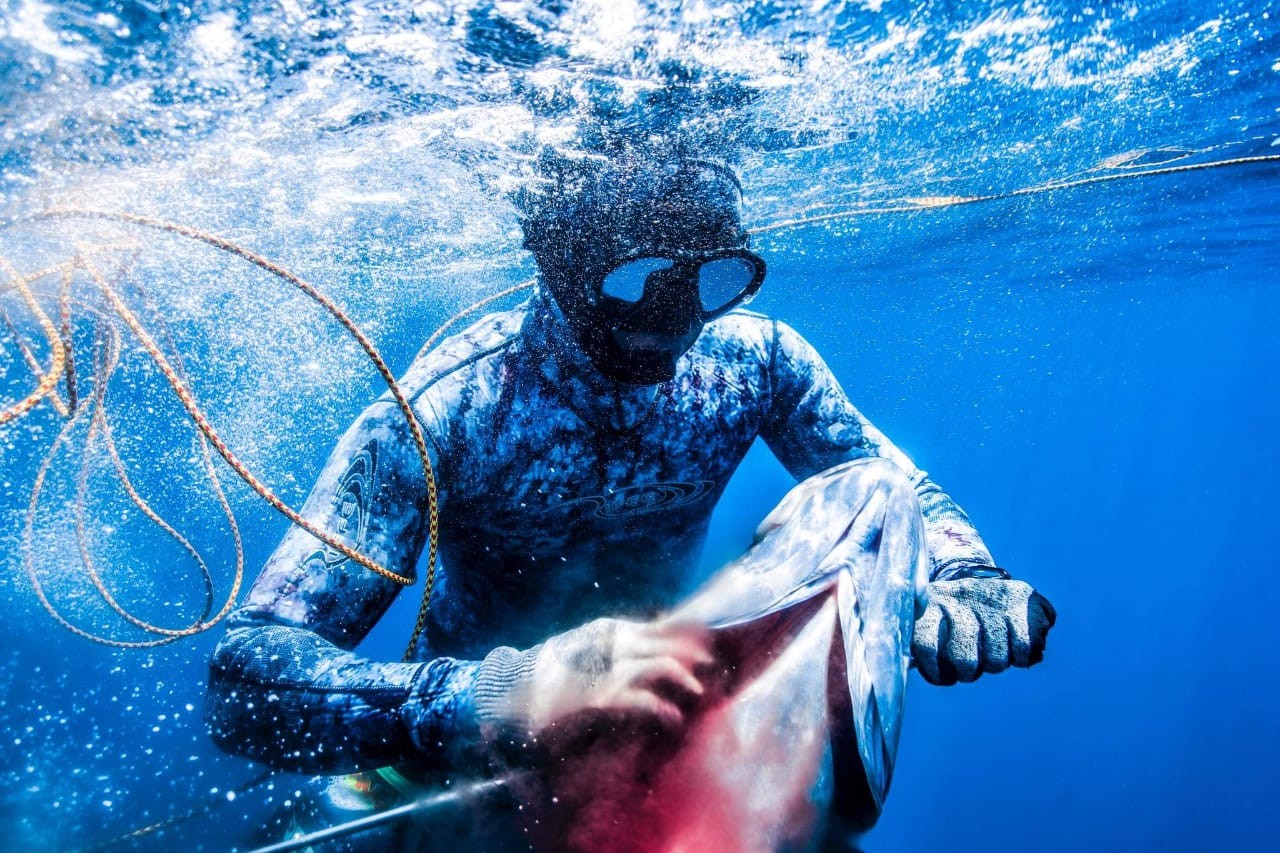 Baja Spearfishing In Cabo San Lucas