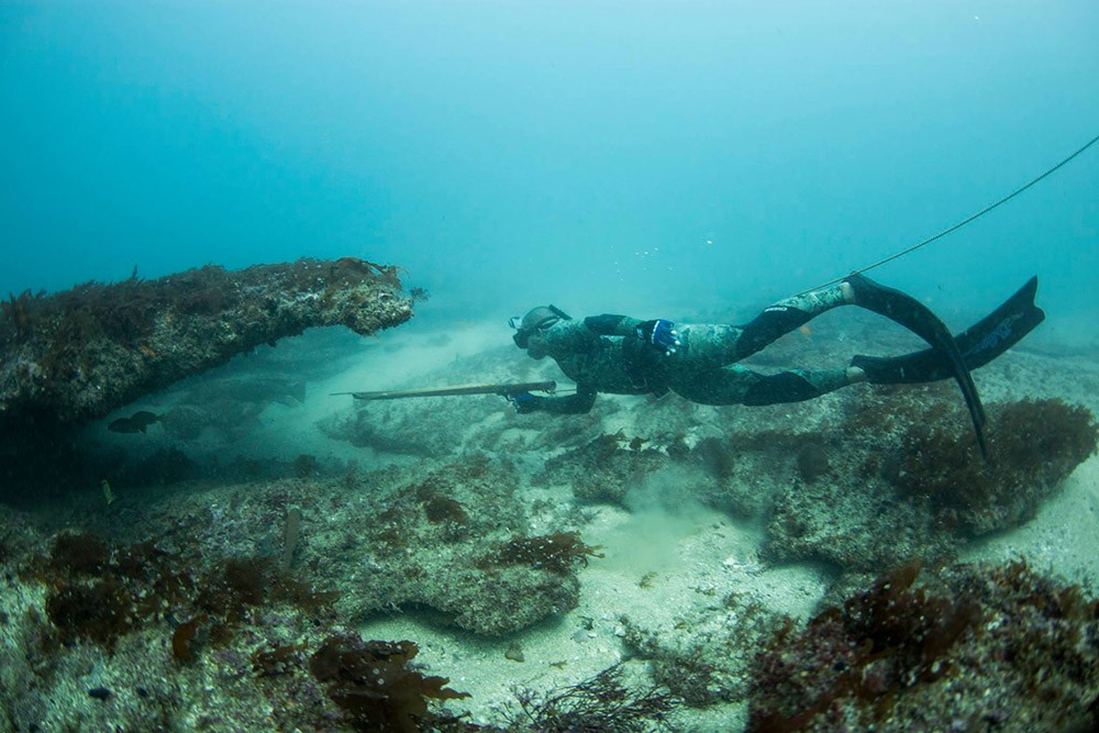 Baja Spearfishing In Cabo San Lucas