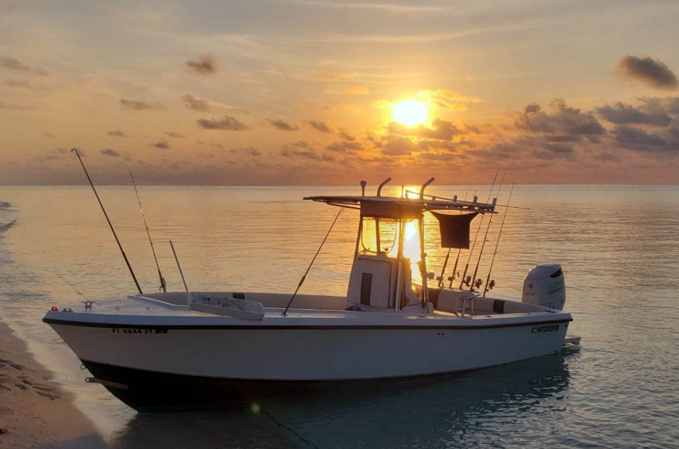 Miami Reef Fishing In Coral Gables