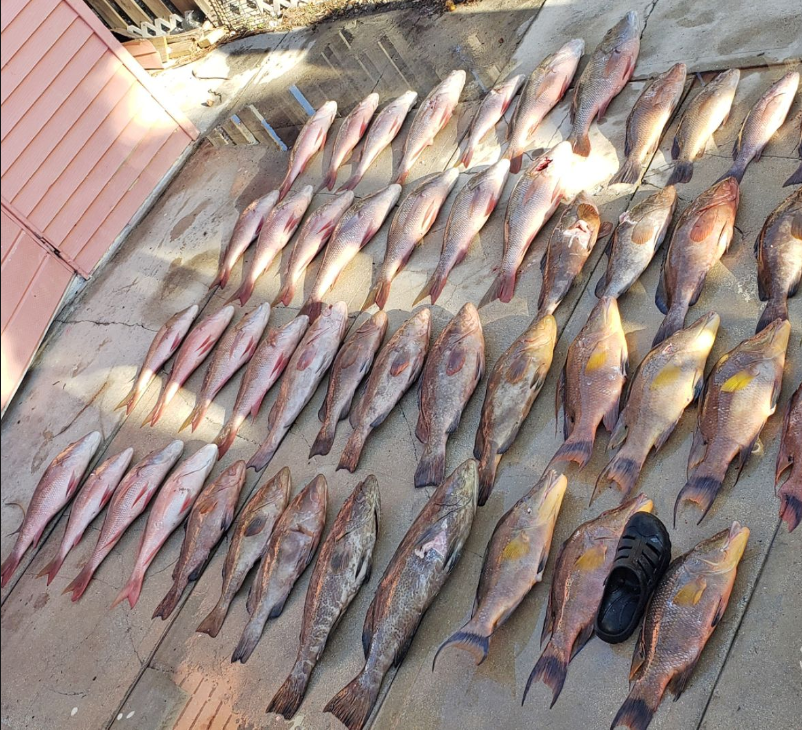 Miami Reef Fishing In Coral Gables