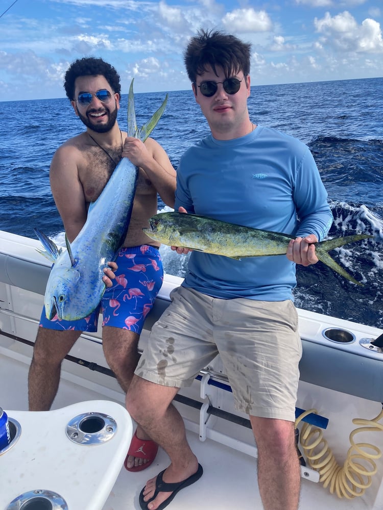 Reef Fishing Trip In Miami