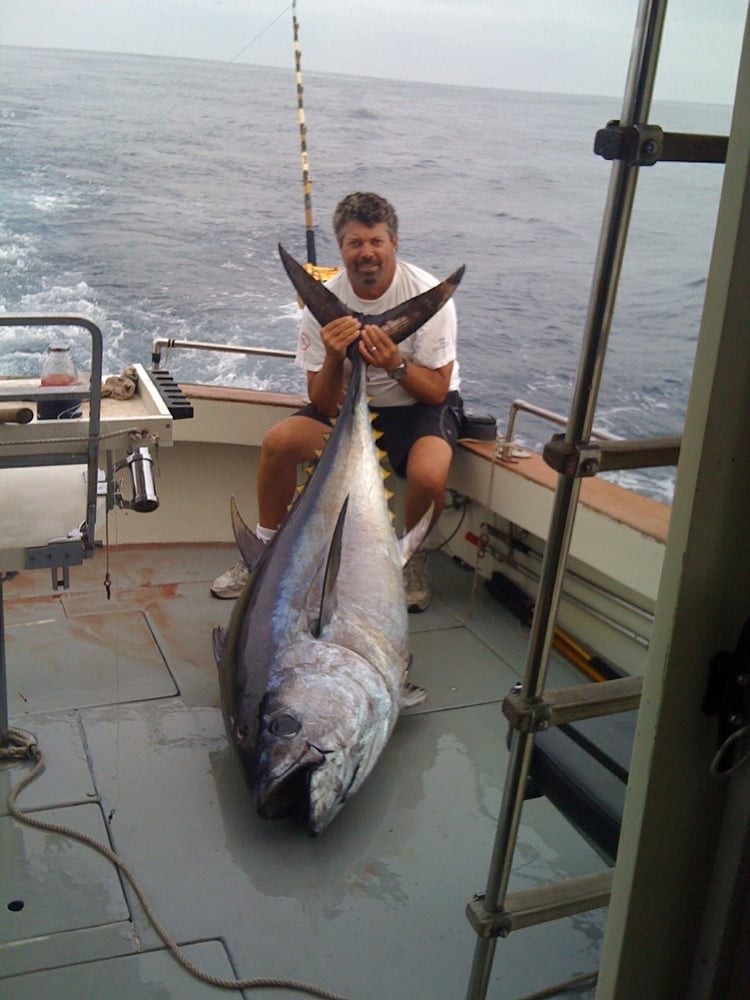 Shark Fishing Montauk In Montauk