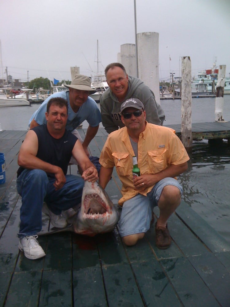 Shark Fishing Montauk In Montauk