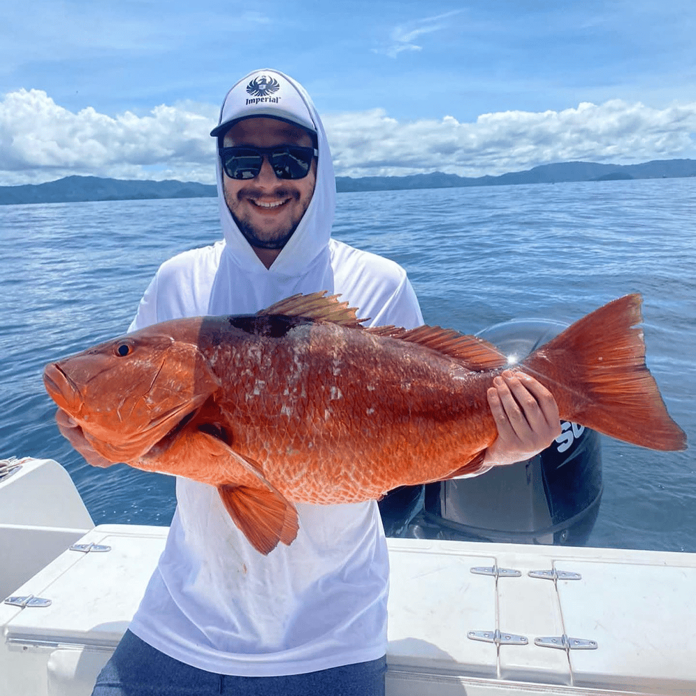 Playa Flamingo Inshore Spearfishing - 31' ChrisCraft In Playa Flamingo