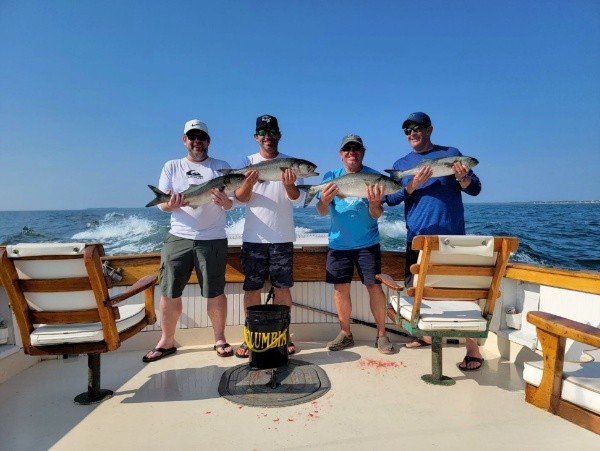 Rock Harbor Classic Sportfish In Orleans