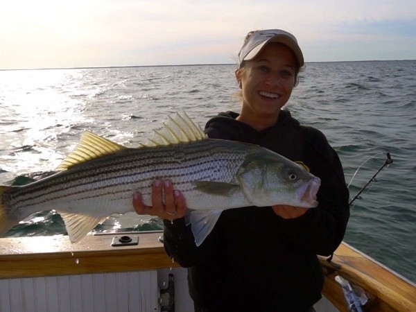 Rock Harbor Classic Sportfish In Orleans