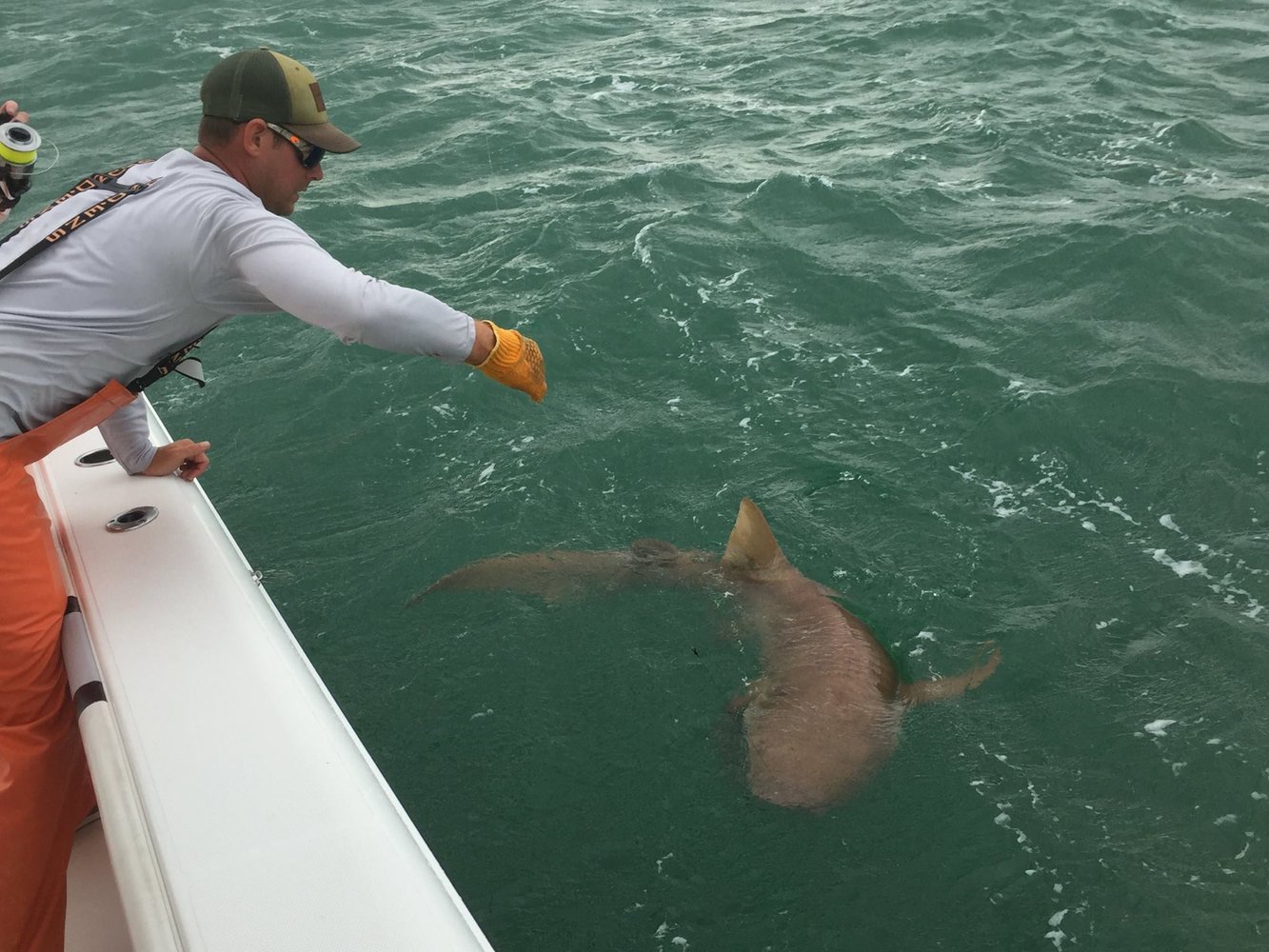 Shark Fishing In Marathon