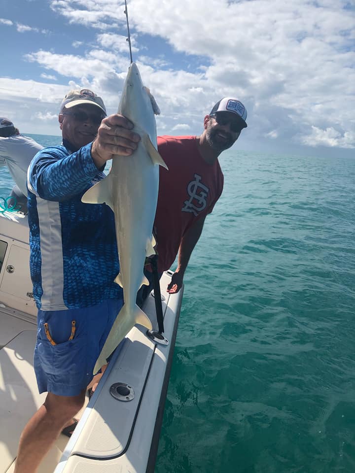 Shark Fishing In Marathon