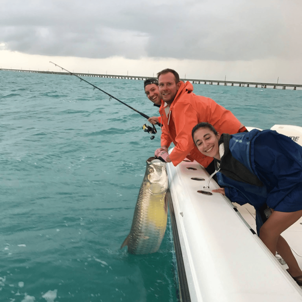 Tarpon Trip In Marathon