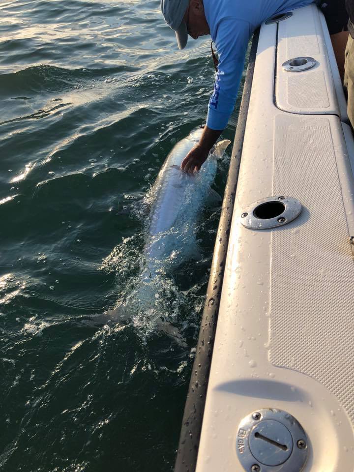 Short Tarpon Trip In Marathon