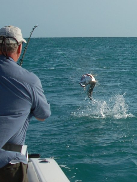 Tarpon Trip With Capt Scotty In Marathon