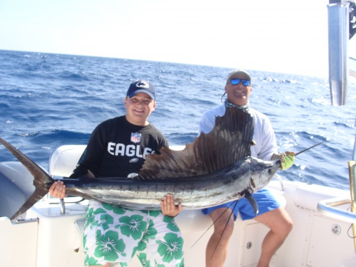 Sailfish / Edge Of Reef In Marathon