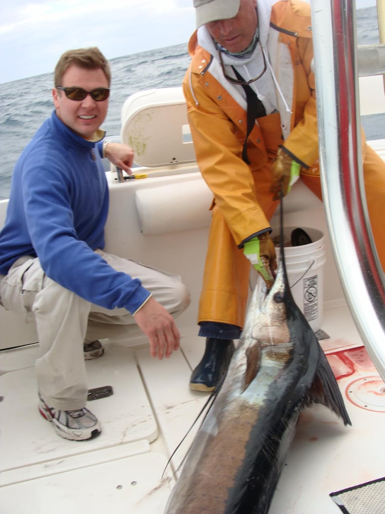 Sailfish / Edge Of Reef In Marathon