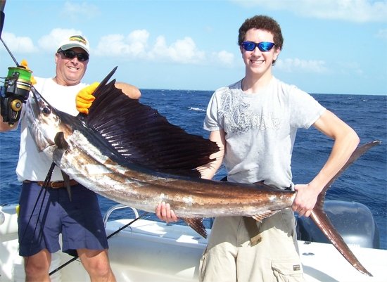 Sailfish / Edge Of Reef In Marathon