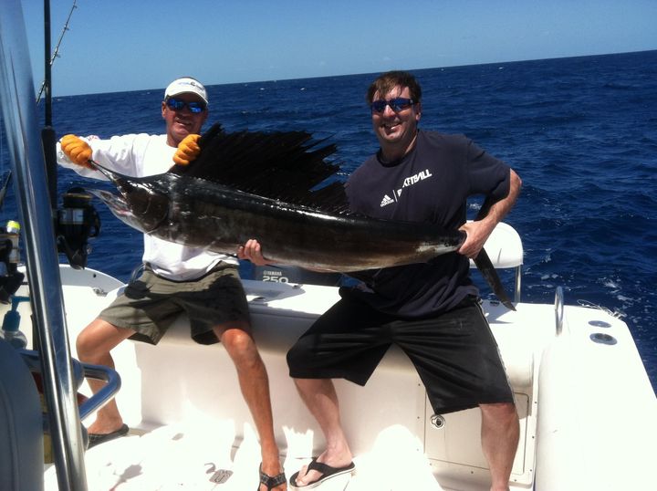 Sailfish / Edge Of Reef In Marathon