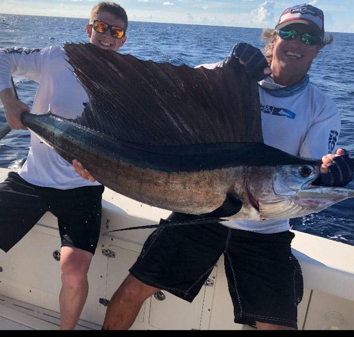 Sailfish / Edge Of Reef In Marathon