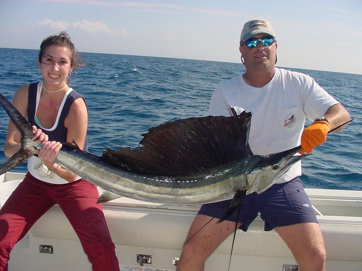 Sailfish / Edge Of Reef In Marathon