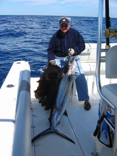 Sailfish / Edge Of Reef In Marathon