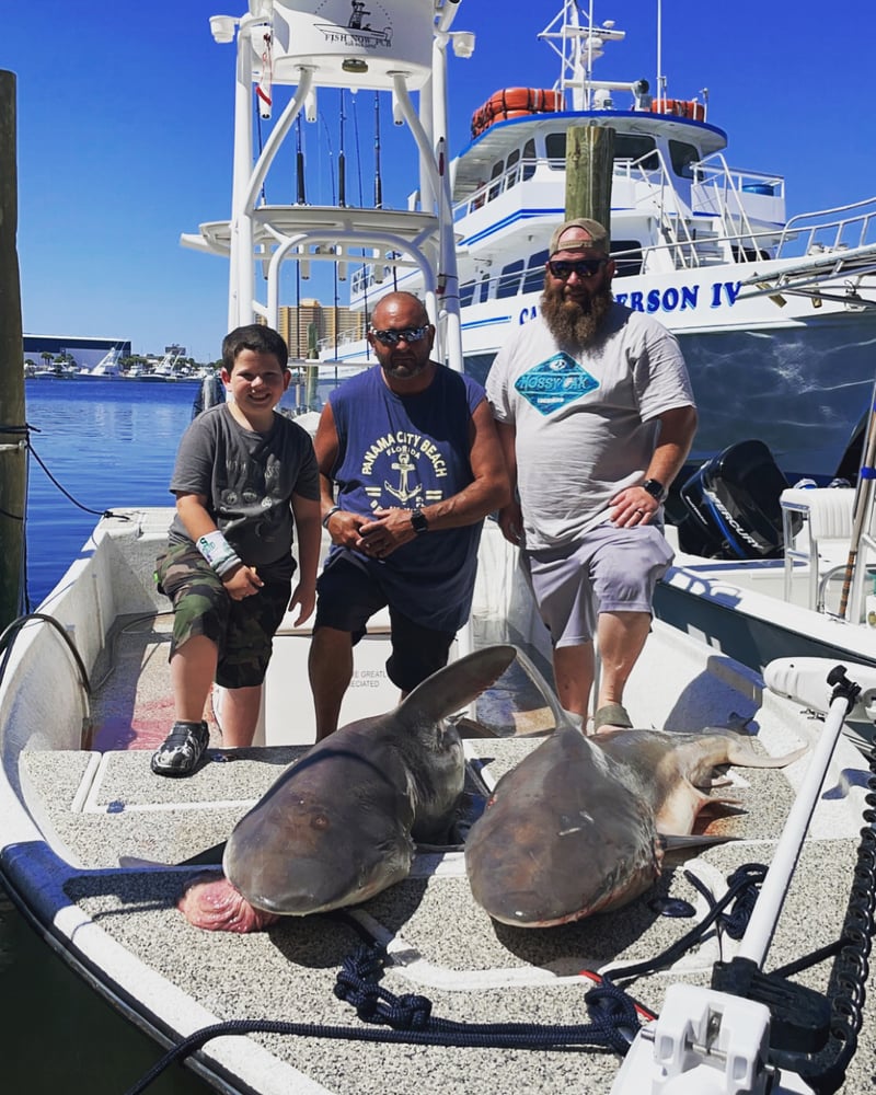 Half Day Shark Fishing In Panama City