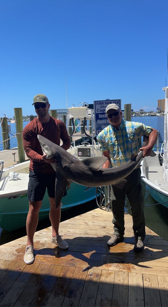 Half Day Shark Fishing In Panama City