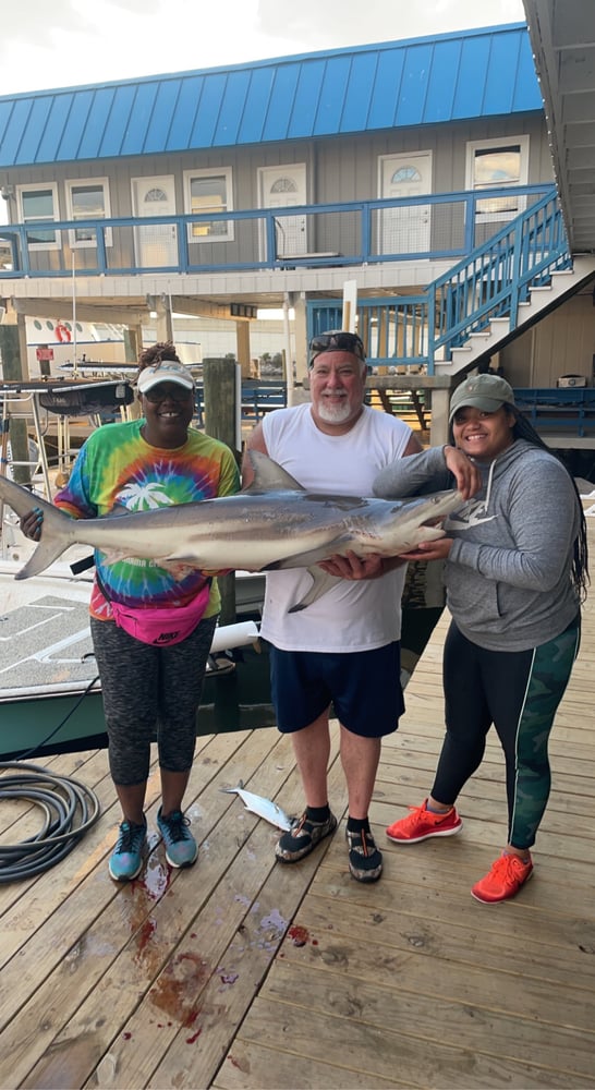 Half Day Shark Fishing In Panama City